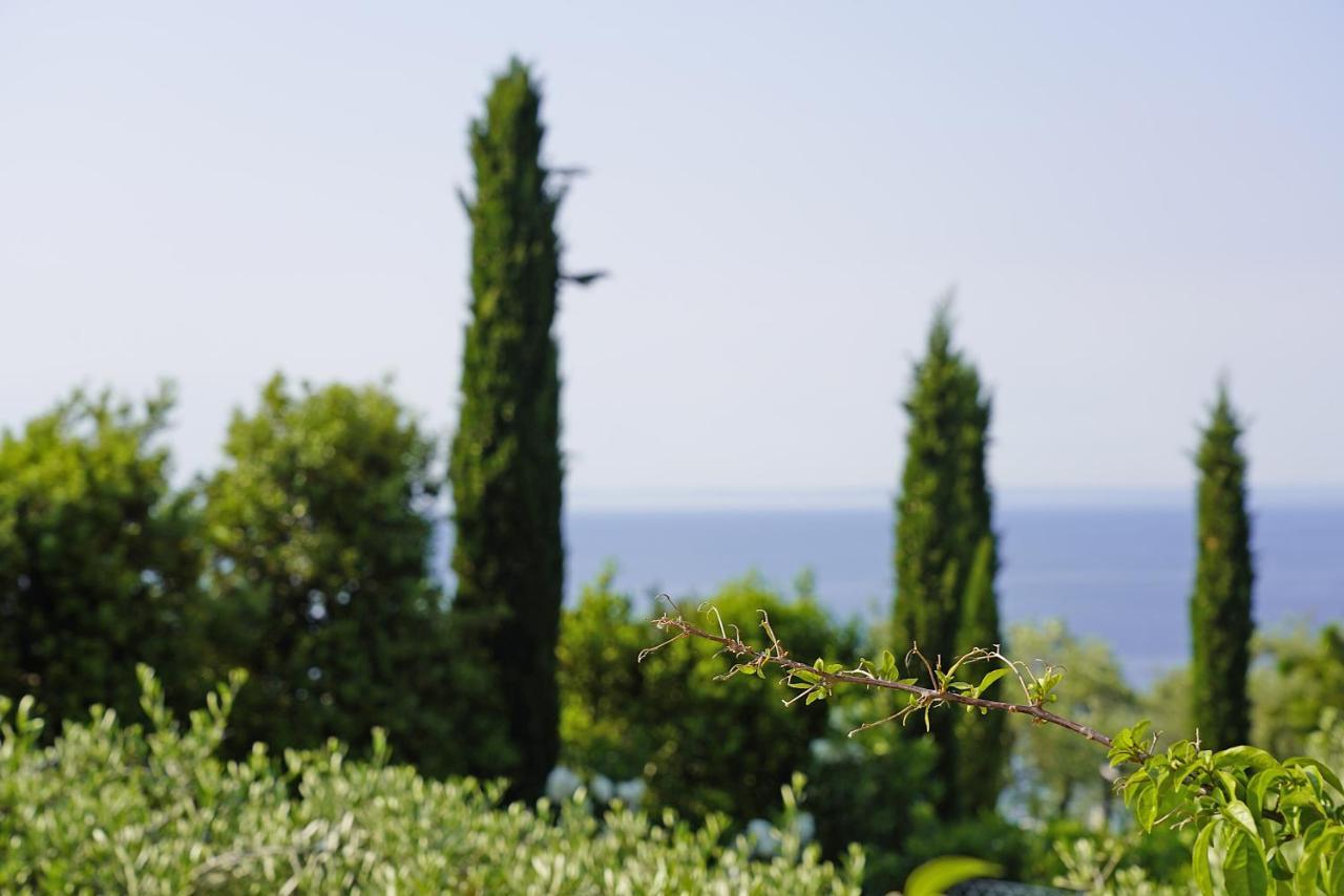 Villa Bouganville Toscolano Maderno Exterior photo